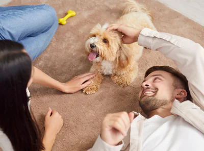 Couple playing with a small dog in their apartment at Heritage at Boca Raton