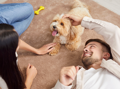 Residents relaxing at home with their dog