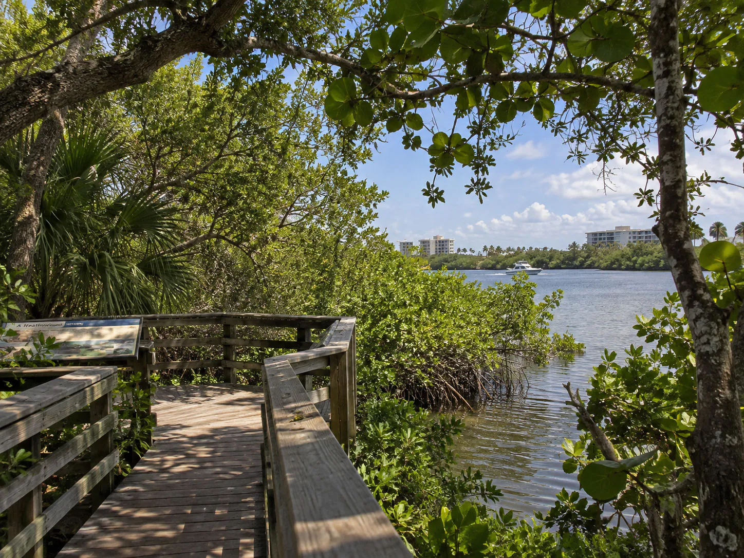 Boardwalk along the water at Gumbo Limbo Nature Center in Boca Raton